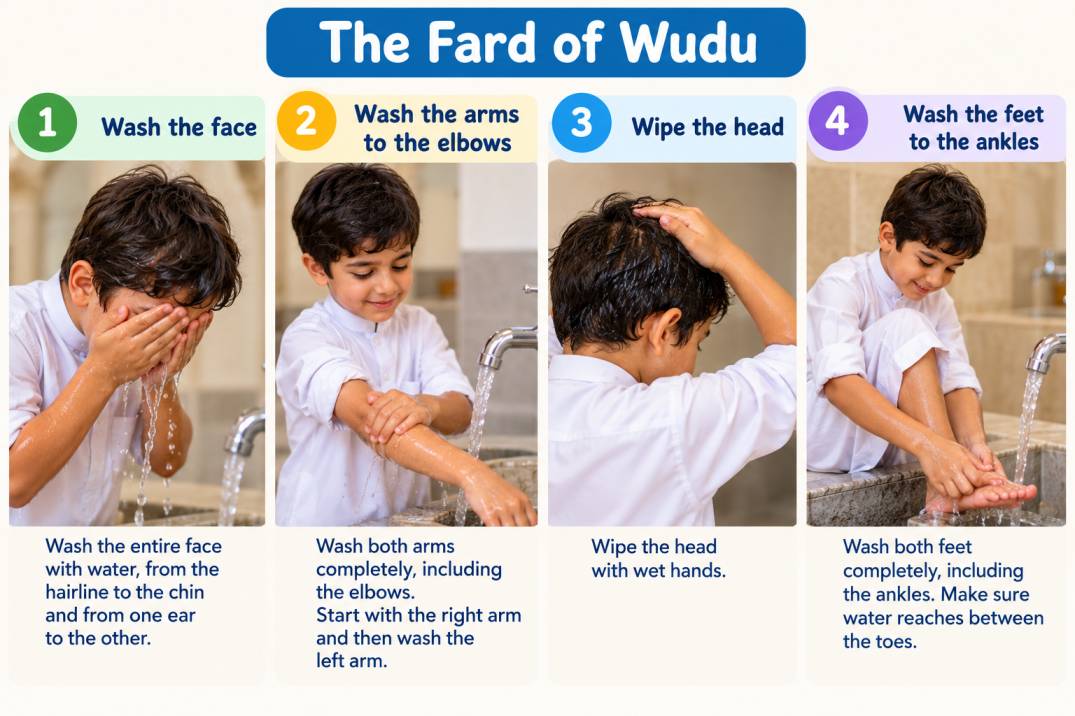 The four Fard of Wudu for kids: wash the face, wash the arms to the elbows, wipe the head, wash the feet to the ankles